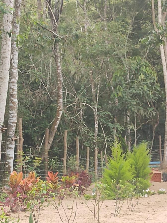 Casa De Campo Banheira, Lareira E Cachoeira Công viên tiểu bang Pedra Azul Ngoại thất bức ảnh