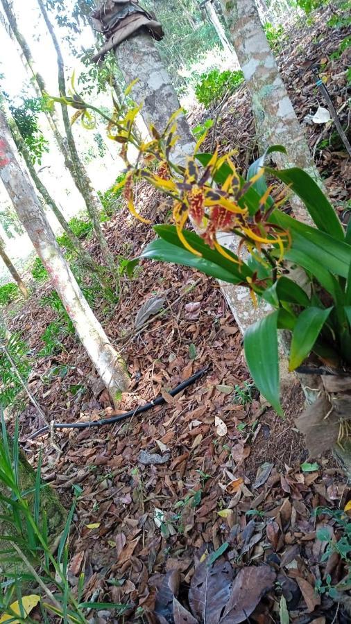 Casa De Campo Banheira, Lareira E Cachoeira Công viên tiểu bang Pedra Azul Ngoại thất bức ảnh